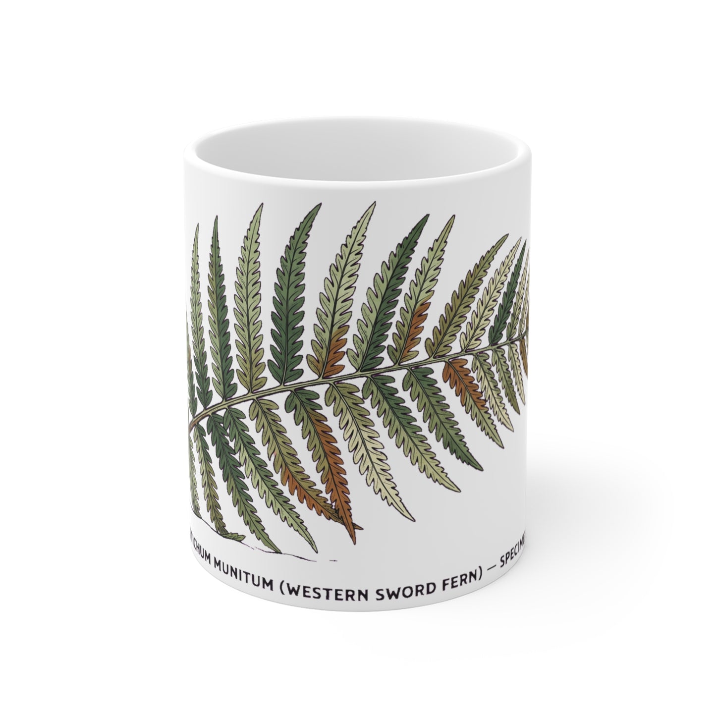 Western Sword Fern Frond - Mug 11oz
