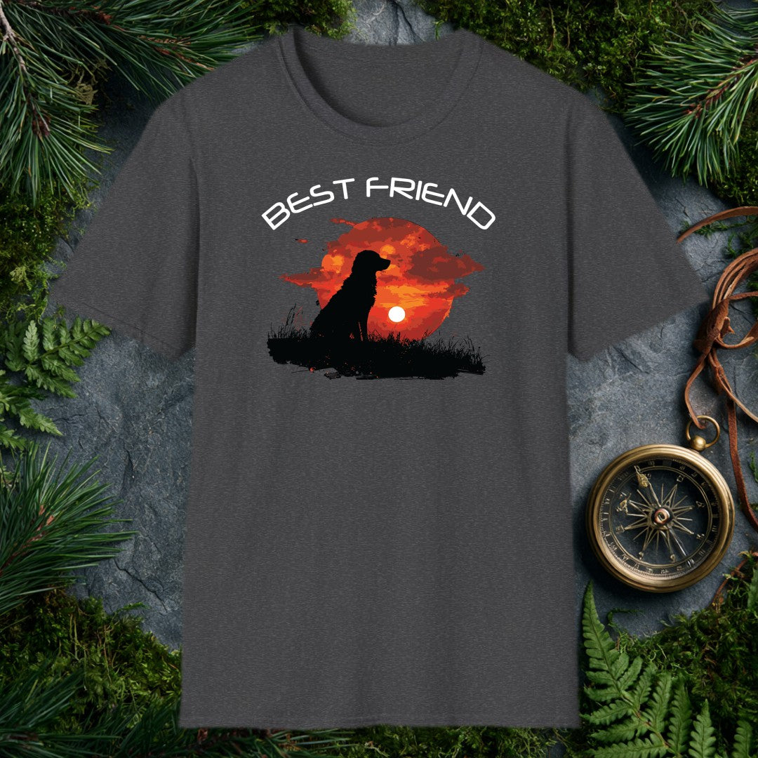 A silhouette of a long-haired dog sits in tall grass, watching the sun sink into a deep red sky — painted in brushy oranges and dark clouds. It's for anyone…